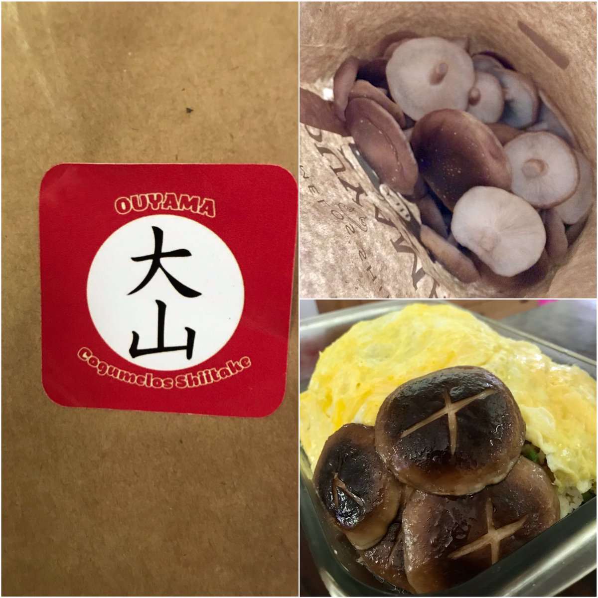 てん on Twitter "RT ep3186 ｼｲﾀｹはこんな感じに…. いつも通り美味しかったです😸"