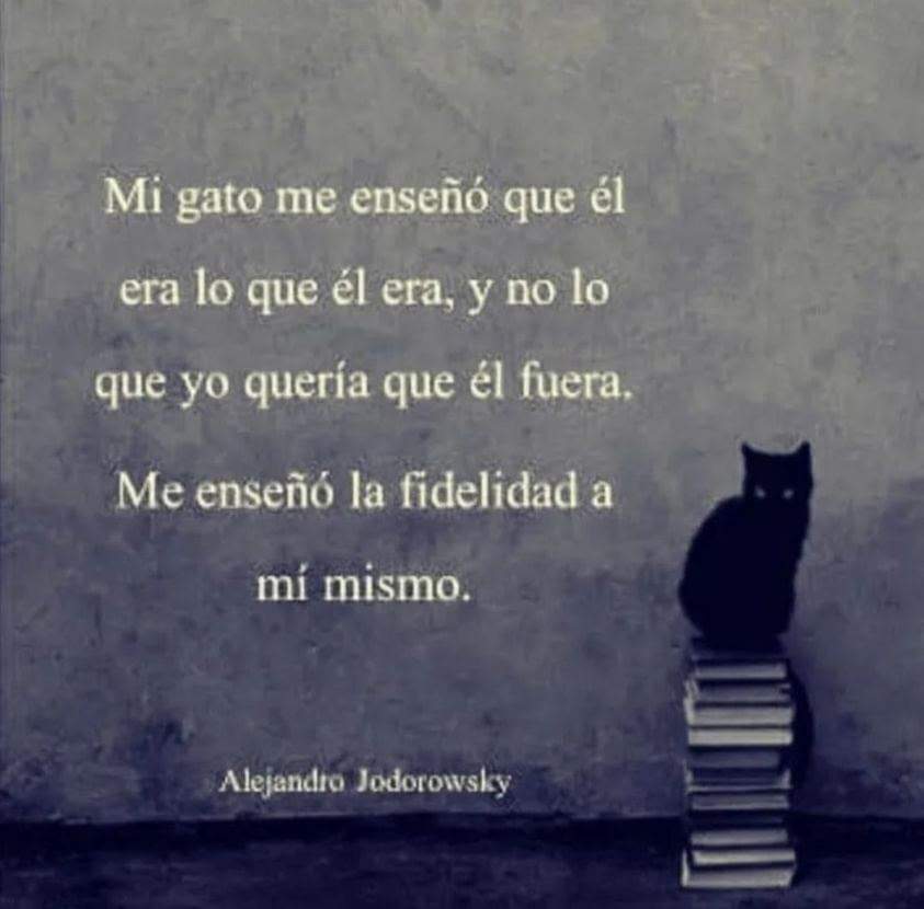 EliaLavinia's tweet photo. https://t.co/PwjBynOXKo