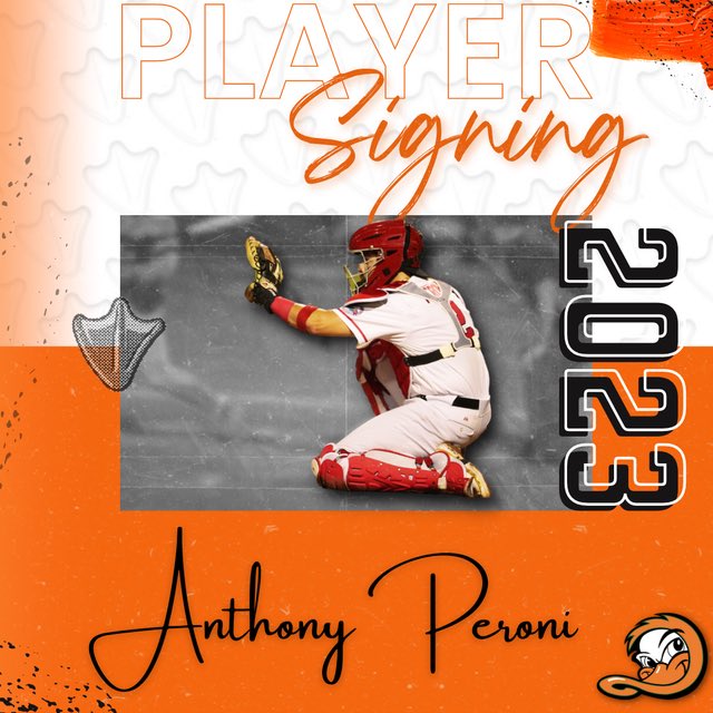 Long Island Ducks tweet media