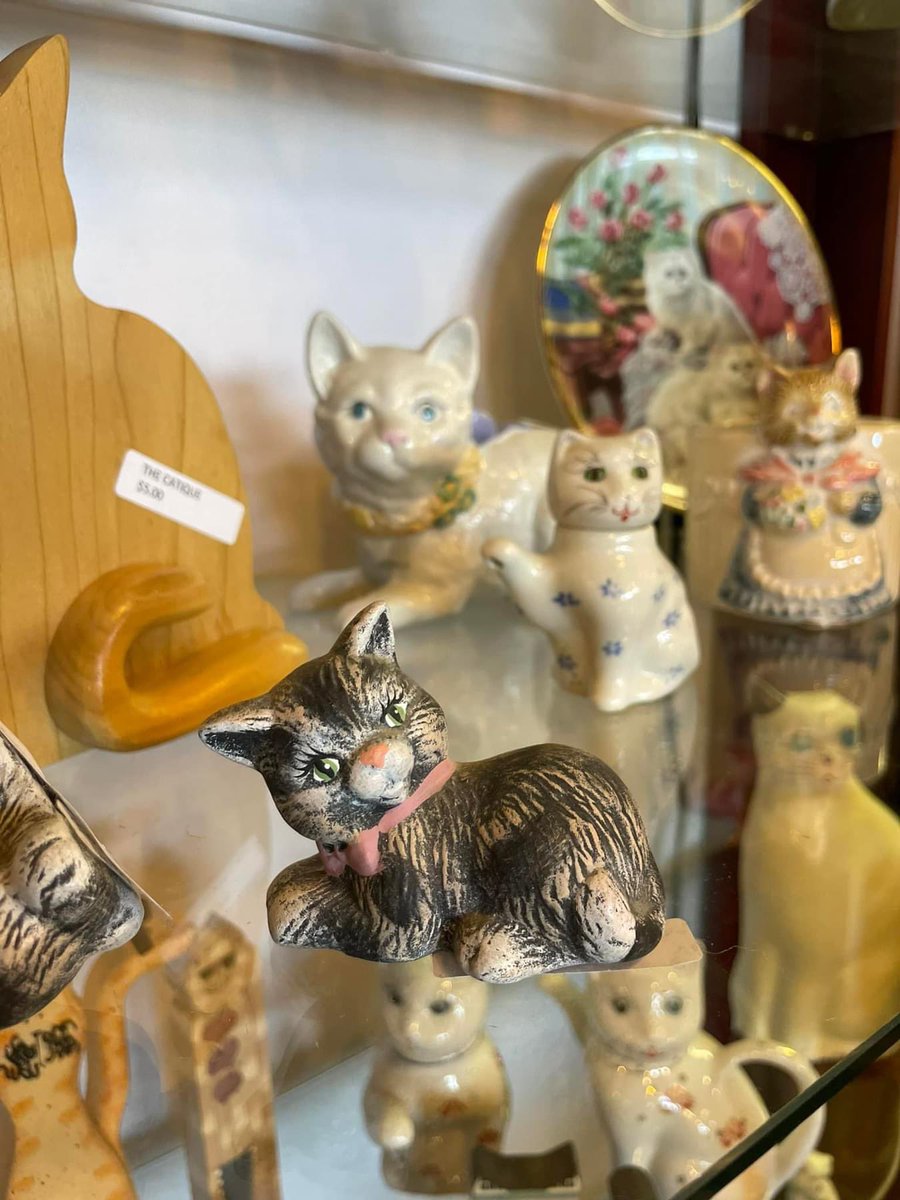 GayForGood's tweet photo. 🐈🐈⬛ We had a ‘paw-some’ time volunteering at the Catique thrift shop in Columbus, OH.
Thanks to everyone who came out to volunteer with us!
@ILoveGayOhio
#gayforgood #catique #catwelfare #volunteerwithpride #volunteerwithpride #proudvolunteers https://t.co/Y6OtrFL17v