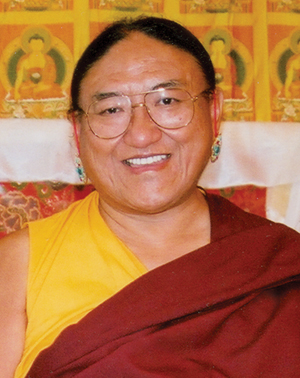 Just Dharma Quotes tweet media