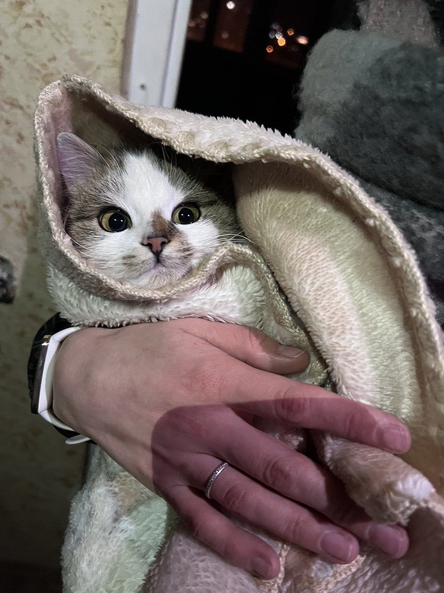 Шла на новую квартиру, нашла кота. Знакомитесь, это Чмоня и Чмоня ищет себе родителей! 
Минск! Заберите себе котика, он будет с приданным на первое время и завтра будет осмотрен врачом и сдадим анализы. 
Пожалуйста, сделайте рт!