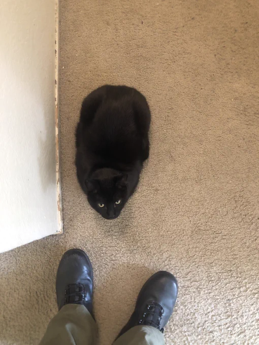 the endless black void 
