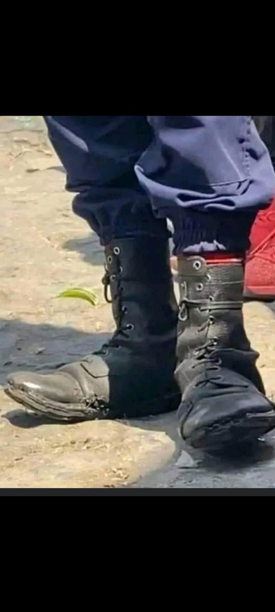 Sugira Mireille🇨🇩 on Twitter "Ce jeune de mon âge fairait un bon lion