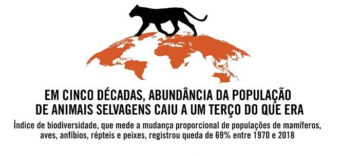 BPBES_oficial's tweet photo. A redução da biodiversidade no planeta afeta diretamente o bem-estar dos humanos, vide relatórios #IPBES e #BPBES. Os principais motivos dessa crise são a destruição de habitats naturais, desmatamento, aquecimento global, espécies invasoras e poluição.
https://t.co/UYjo7vFdDW https://t.co/Yr3MfFBner