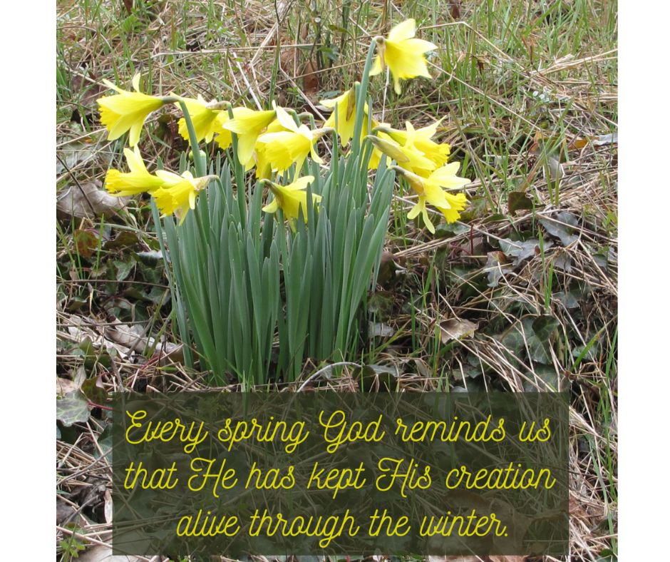 NotgrassCompany's tweet photo. Read "Reminders" at the link below.
👇🏻
https://t.co/4U4osmuIrZ
#reminders #homeschool #notgrass #notgrasshistory https://t.co/4TMc1bv0F4