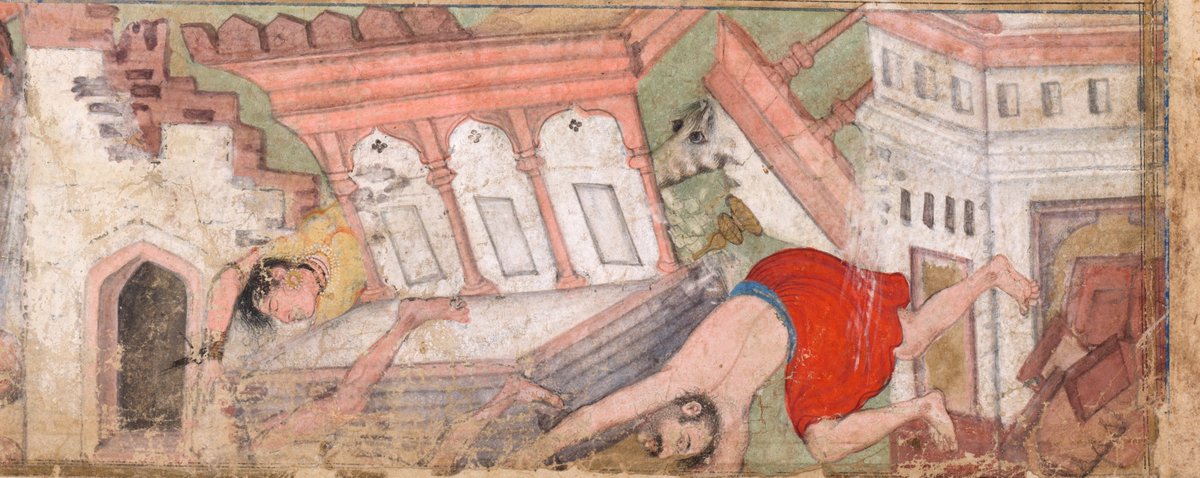 Sonya Rhie Mace tweet media