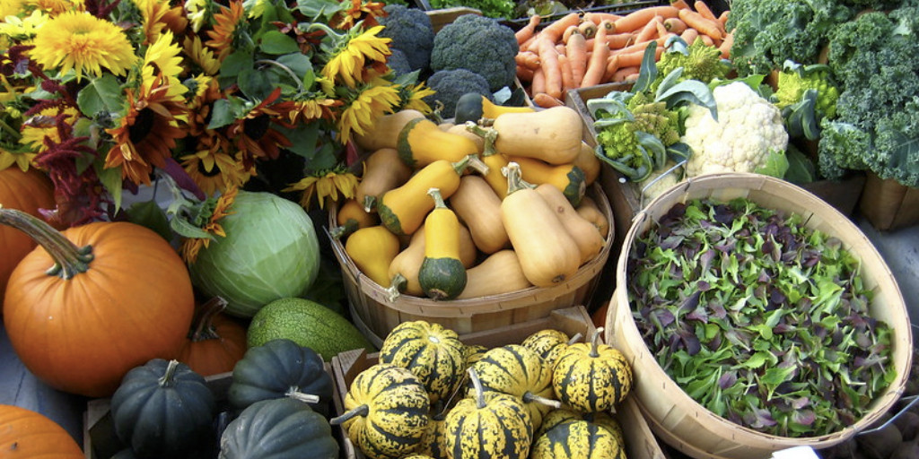 What factors contribute to food business #resilience? New study in <a href="/JAFSCD/">JAFSCD</a> explores experiences of #Vermont foodservice operations &amp; farms during #COVID19. @UVMFoodSystems <a href="/CDAEatUVM/">CDAE at UVM</a> <a href="/UVMExtension/">UVM Extension</a> @CRS_UVM #foodsystems #localfood Read for free: bit.ly/3Il1zUq