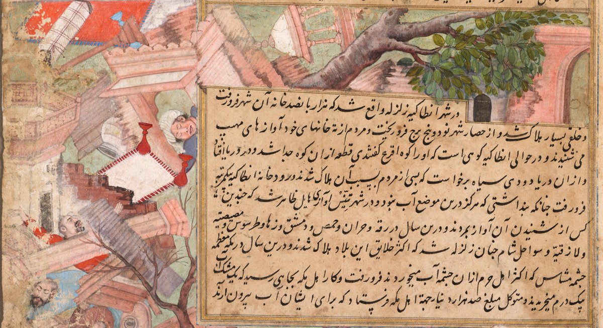 Sonya Rhie Mace tweet media