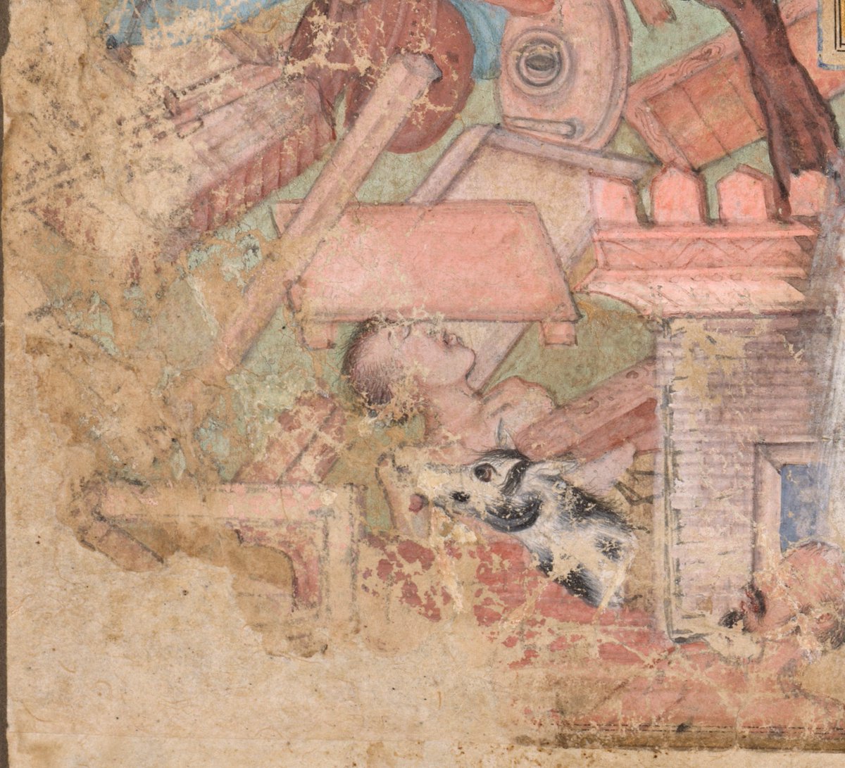 Sonya Rhie Mace tweet media