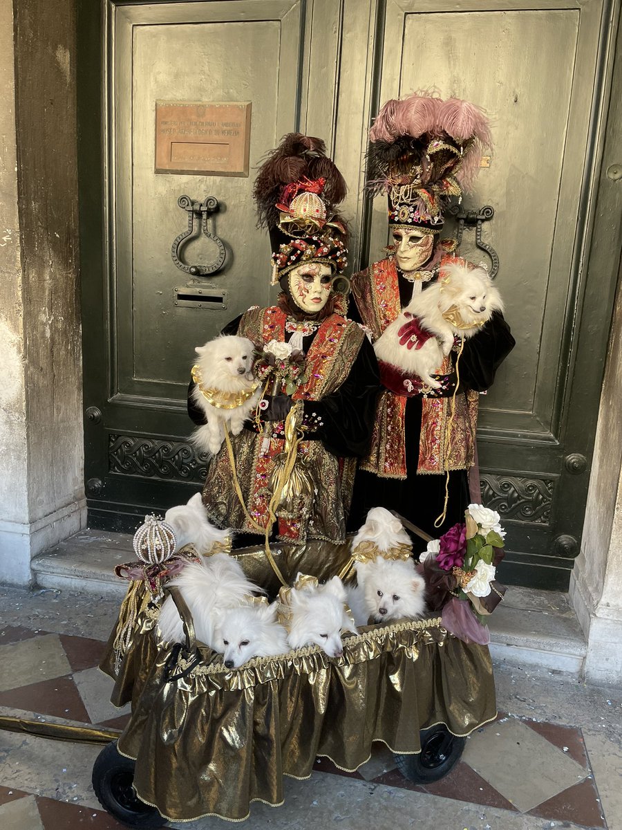 Dogs of Venice #venicecarnival #Festival2023 #costumes #masks #whitedogs #photographylovers #photograghy #models #fashionhistory #Fashionista #canonphotography #camera