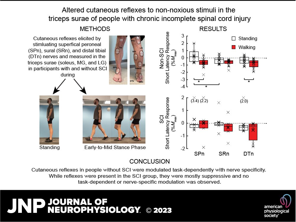 APSPublications's tweet photo. Altered cutaneous reflexes to non-noxious stimuli in the triceps surae of people with chronic incomplete spinal cord injury (@alanphipps15 and Thompson @MedUnivSC) - new in @JNeurophysiol w/ spotlight cover!

https://t.co/3g1wsYCl7j

#spinalcordinjury #hyperreflexia #locomotion https://t.co/UAgGPm4psm