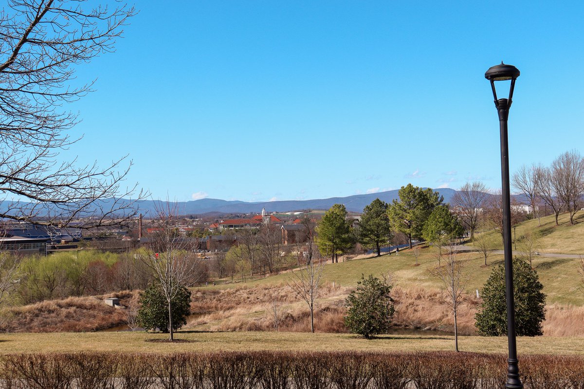 ryanlsauer's tweet photo. Sights from around campus today as temperatures climb to the upper 70s for the first time this semester. (2/23/23) https://t.co/Ws2mFFrJO0