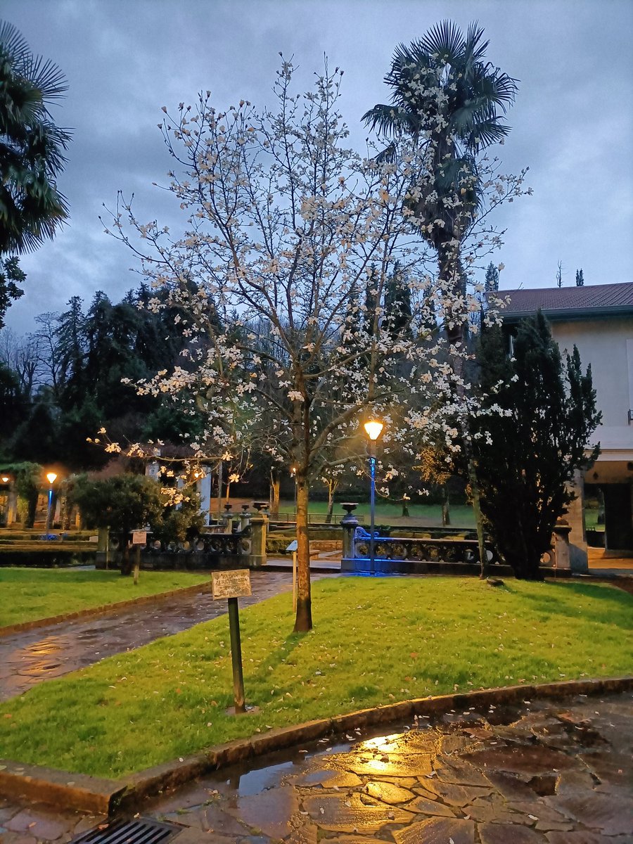 pagazauskas's tweet photo. #Laudio #laudio #lamuza #lamuzaparkea #aiaraldea #araba #Euskadi #Euskalherria #Fotografía #fotos #photography https://t.co/qhb4GUrVna