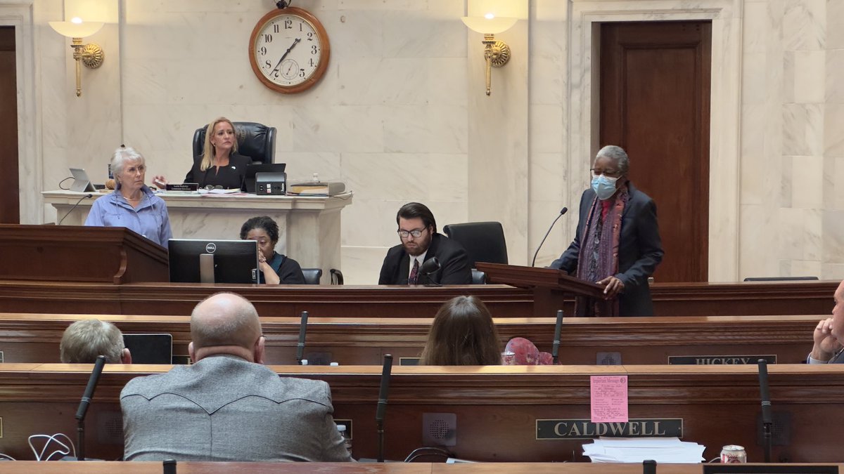 Senator Stephanie Flowers (D-Pine Bluff) is speaking against #SB294, the LEARNS Act, right now. #arpx