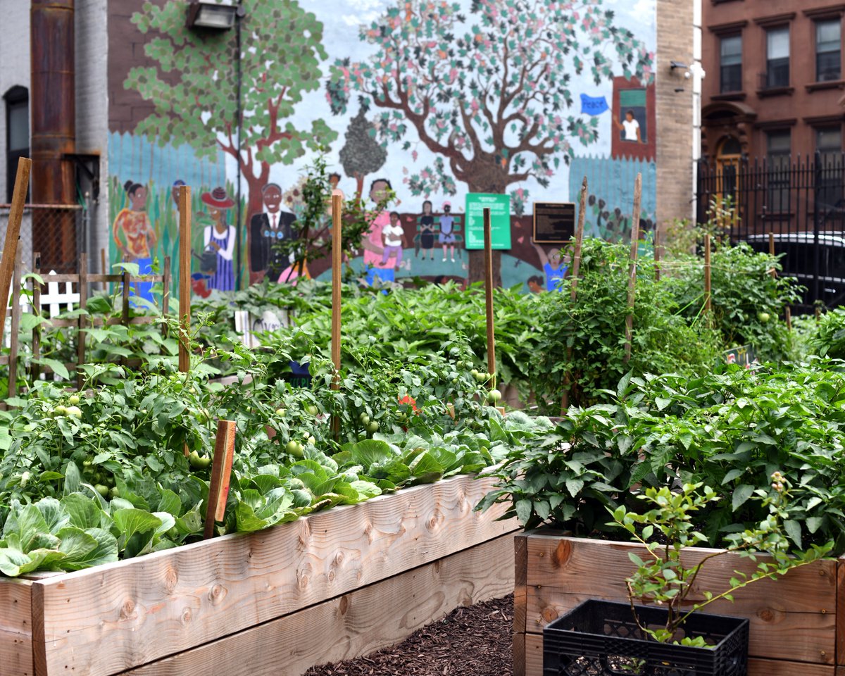 Earthjustice tweet media