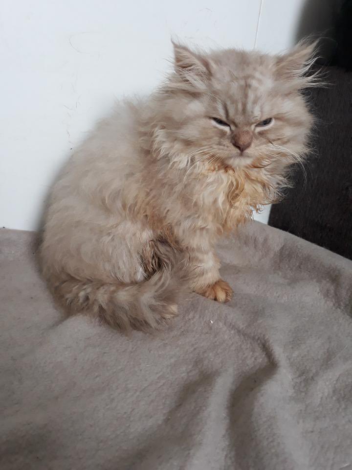 Aurélia Baranes tweet media