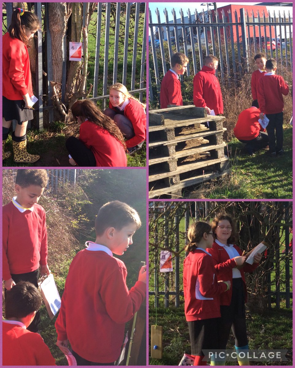 Hawthorn Class tweet media