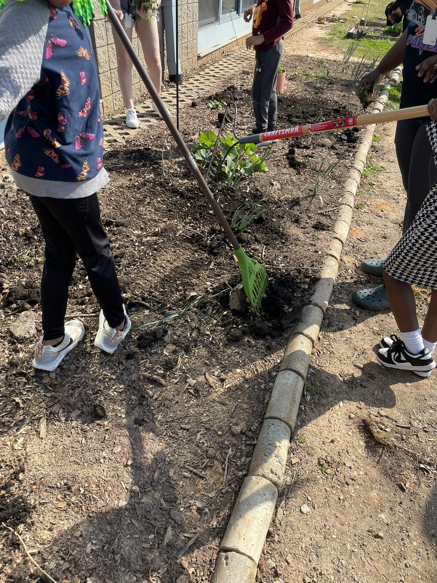 karen proctor tweet media