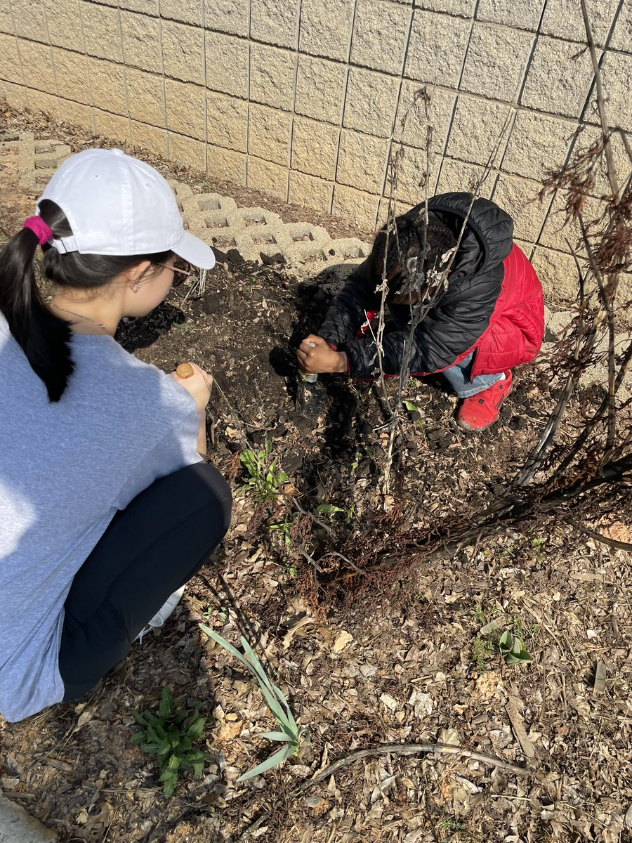 karen proctor tweet media