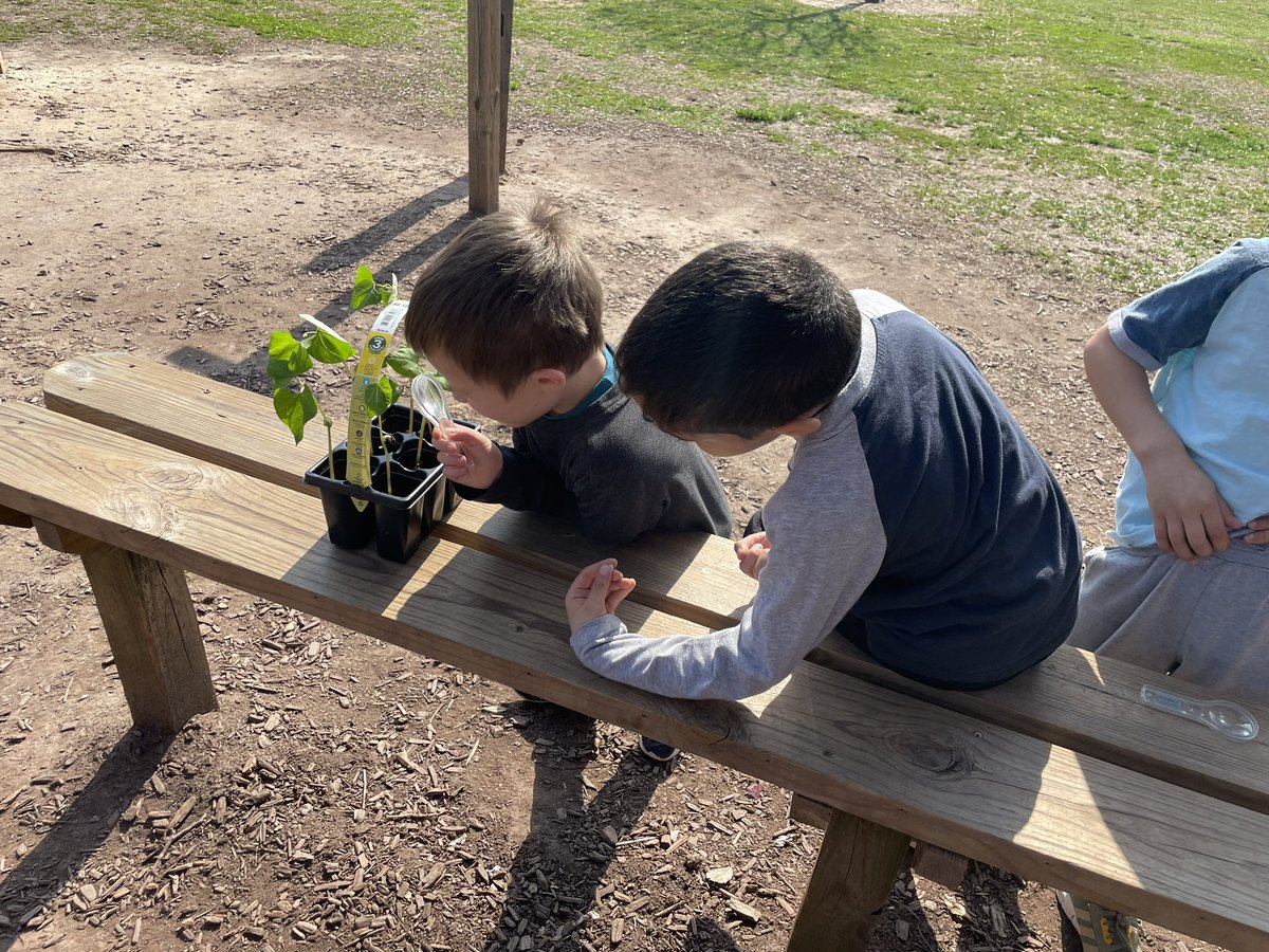 karen proctor tweet media