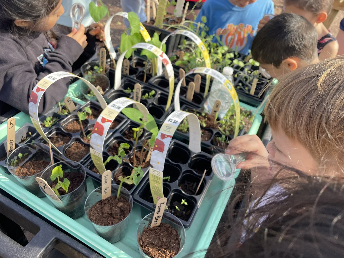 karen proctor tweet media