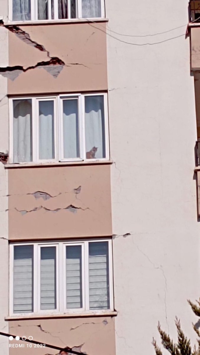 Adıyaman'da olan gruplara iletebilir miyiz? Kayıp sanilan kedi evdeymiş. Aç susuz. Adres : yeni Mh. 26180 sk. No:  1 #Adıyaman 

İletişim: Erkan, +90 505 846 54 42