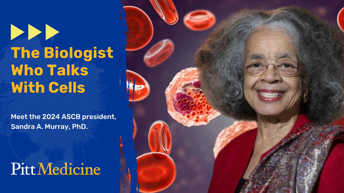 PittHealthSci's tweet photo. Congratulations to Sandra A. Murray, PhD, on being elected president of the American Society for Cell Biology! Listen to her story on the Short Wave podcast from NPR here: https://t.co/BKBgkFFk6W https://t.co/QyeiGKiL3F