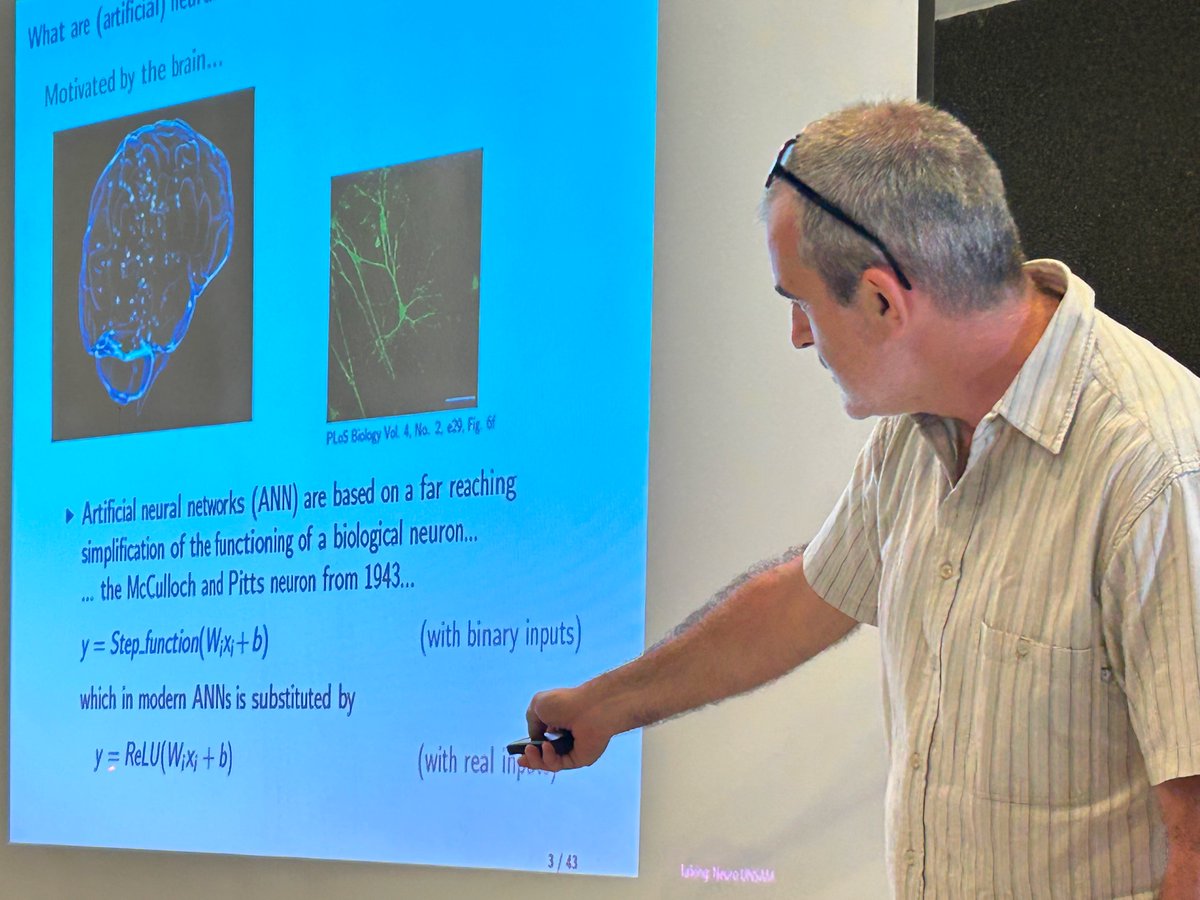 sabrina camargo tweet media