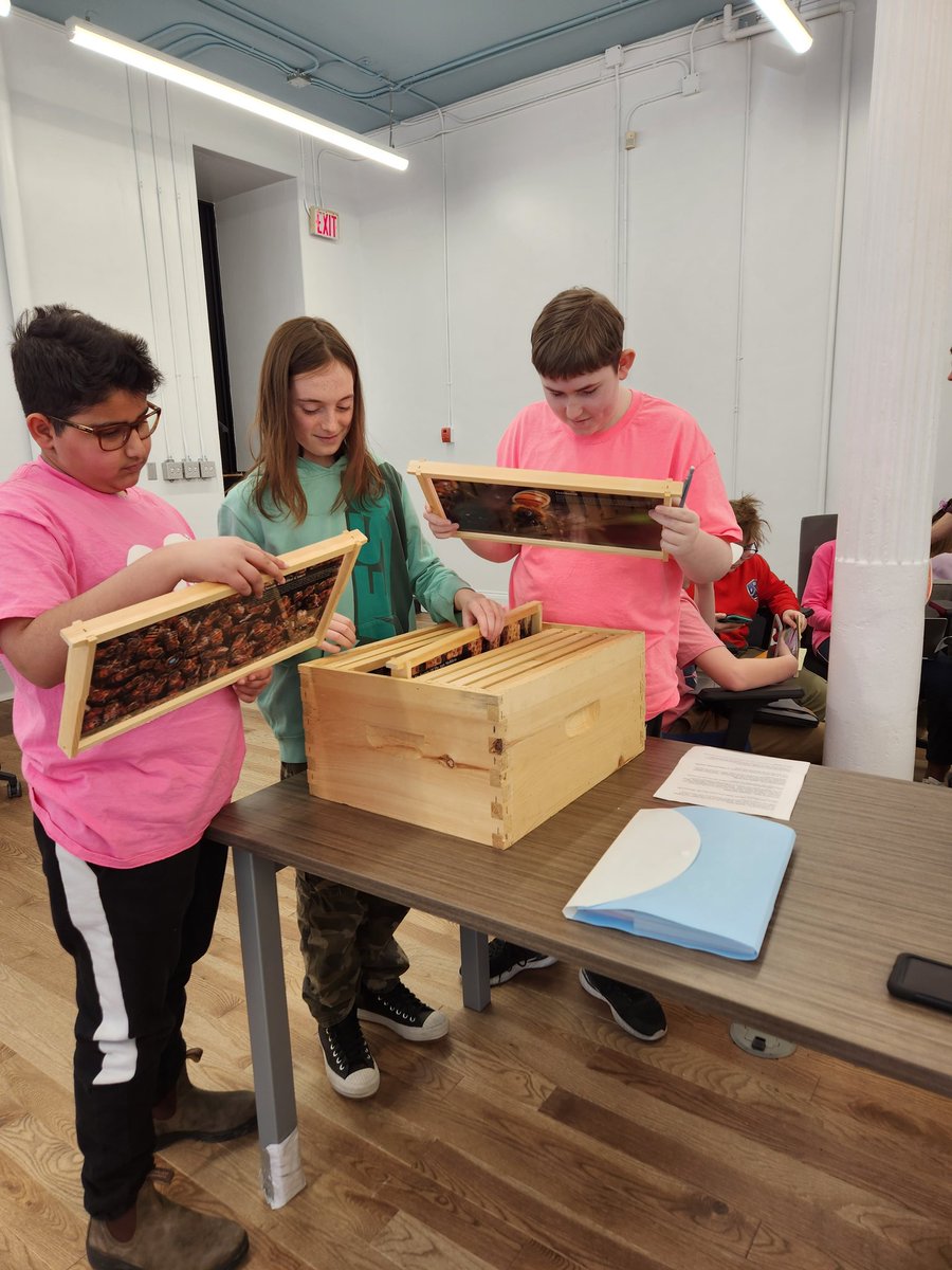 What a buzzing morning we had learning to prep our bee hive for the spring. A big thank you to Karen Youdan Walsh for visiting our students and sharing her knowledge and love of bees with our grade 7 class as they prepare for Bee Day!