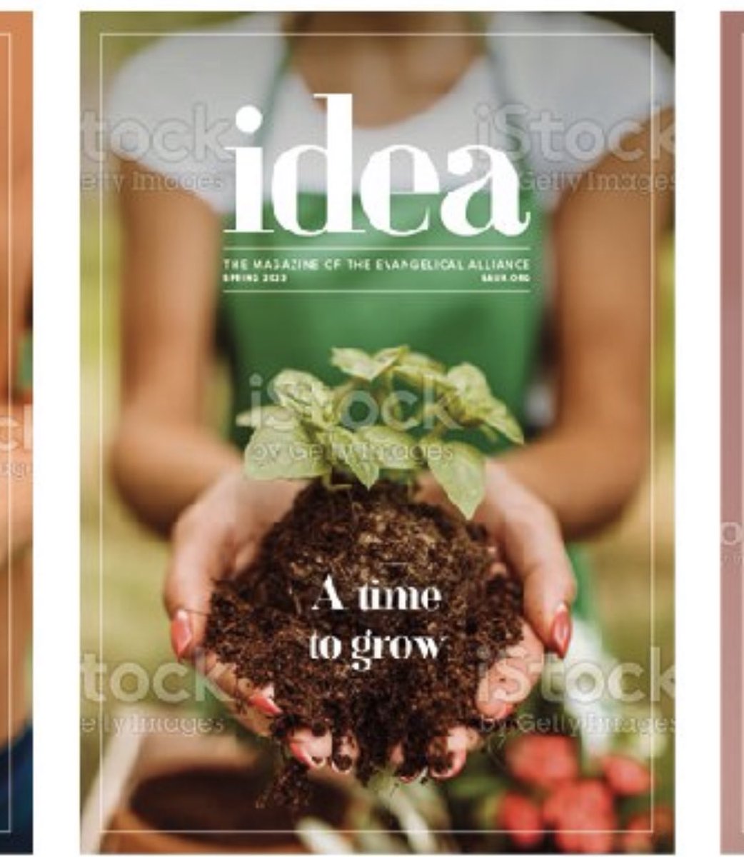 Team Locals Media tweet media