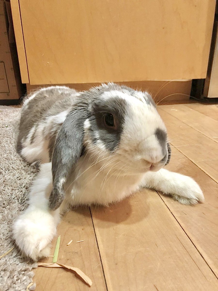 25 days left. We might lose this project if we don't have enough supporters. Any backing is appreciated. kickstarter.com/projects/binit…