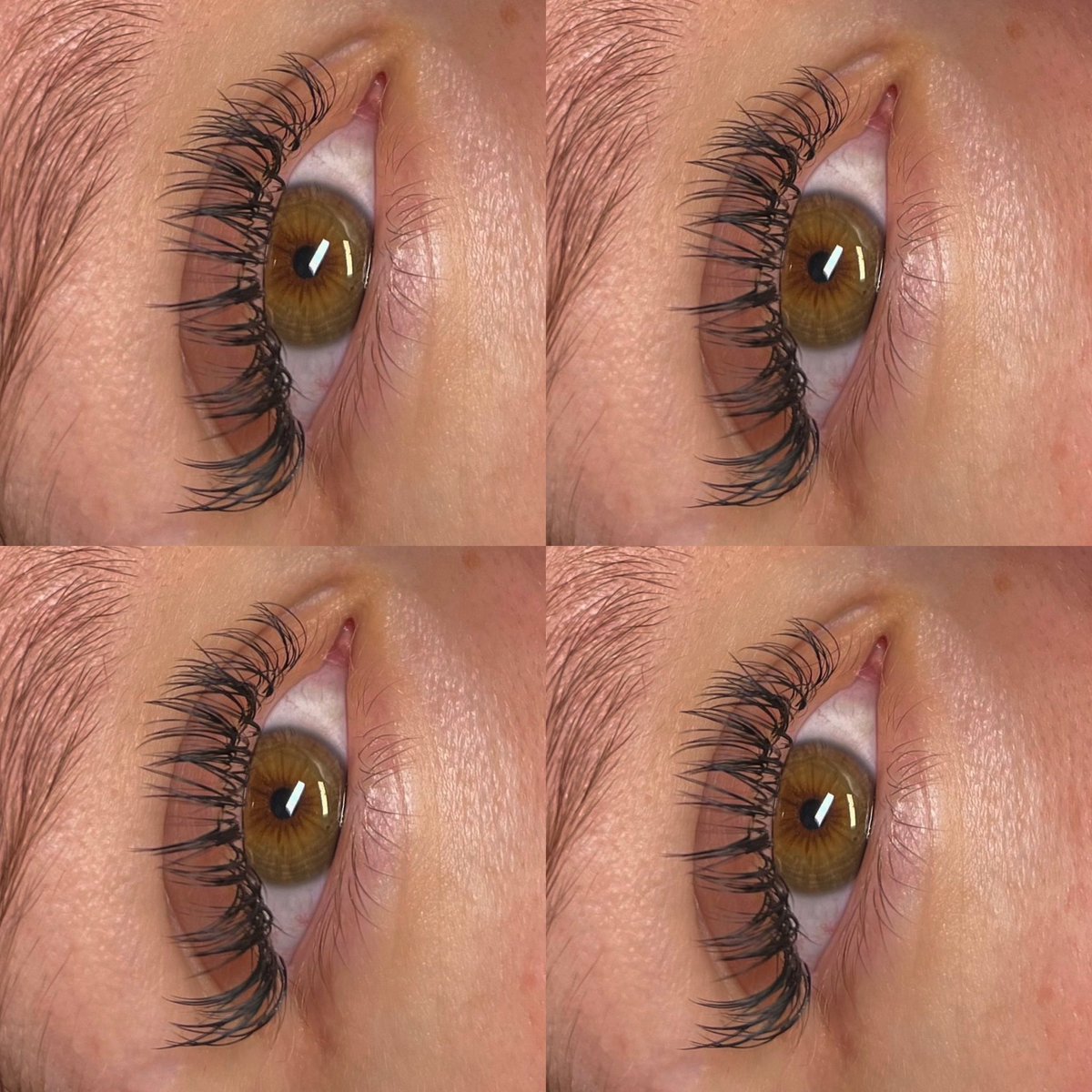 Angel Lash, Close Up 🔍💖

#classiclash #eyelashextensions #lashes #lashextensions #ipswichlashes #lashtech
#classiclashinfill #ipswich #suffolk #volumelash #russsianvolume #classicvsvolume #ip4 #ipswichbusiness #angelset #angellashes