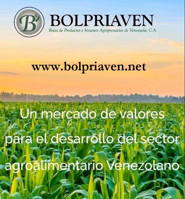 rogerinvest76's tweet photo. Resumen de hoy 23 de febrero en la Bolsa de Valores Agrícola del pais #Bolpriaven 44 operaciones de fisico por Bs. 137.329.803,75 ($5.630.255,08). Bolpriaven, continúa sembrando por una mejor seguridad alimentaria. #Agronet #Agroinvest #Semeruco #Bursagro #Fivenca #Interagro https://t.co/09dofQAiww