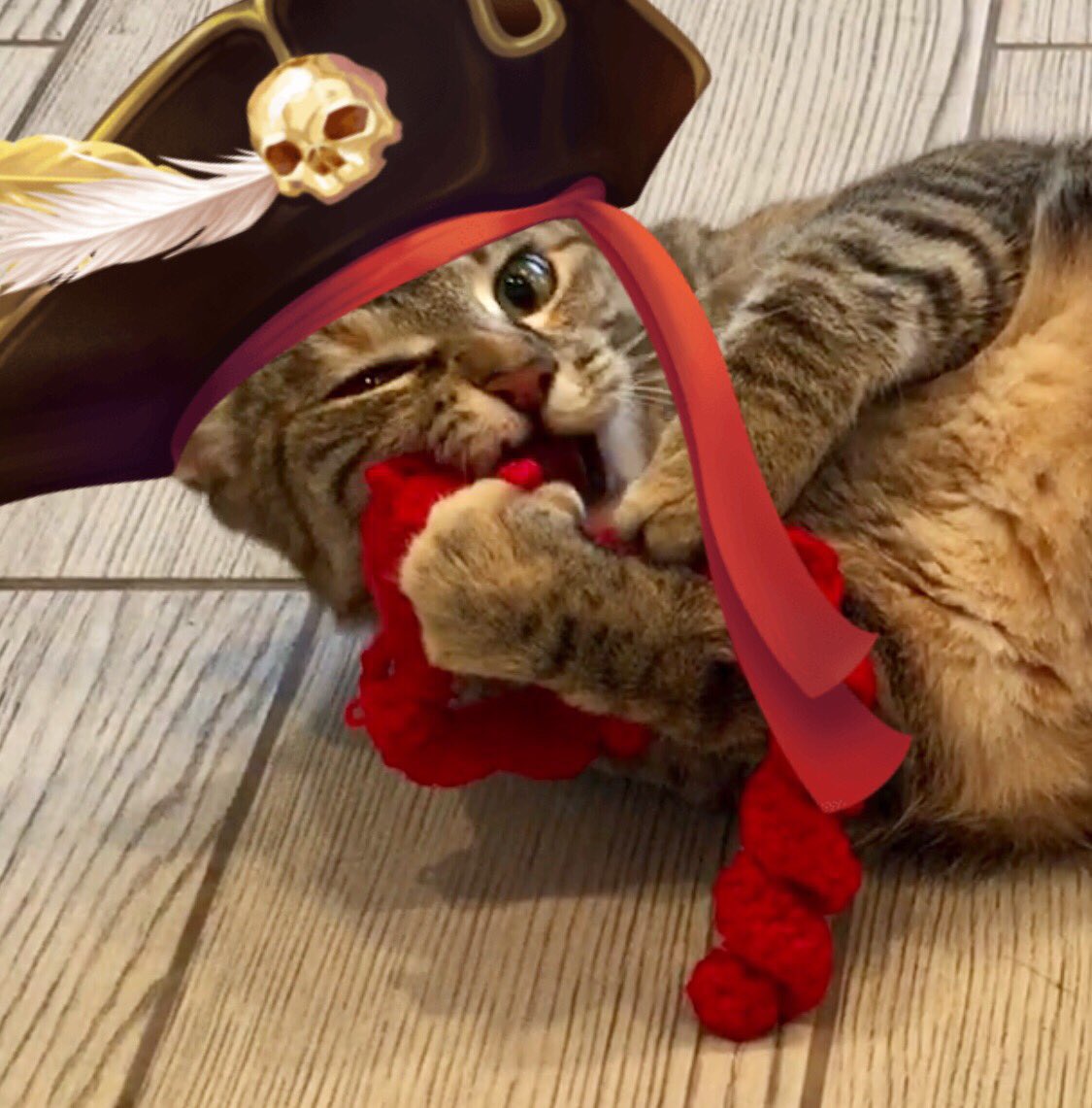 @FartyCheddarCat An ode to our friend Cheddy’s #CheddarPoetry 

I a pirate
I bites da snake
He be so fierce
Tho he be fake

He walk da plank
Da pirate way 
In da water
For da day

🏴‍☠️ 🐍 #CatPoetry — Hazel