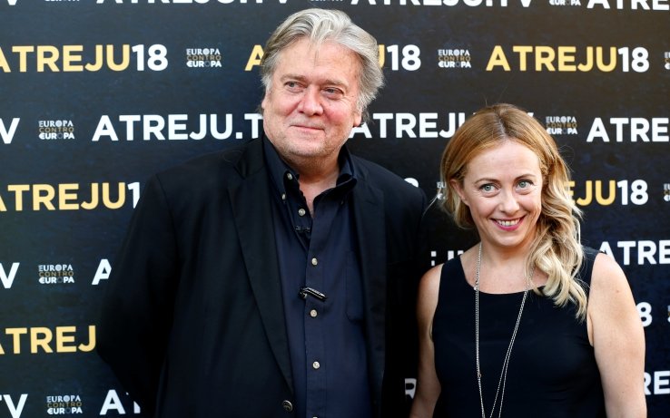 Pinellus  tweet media