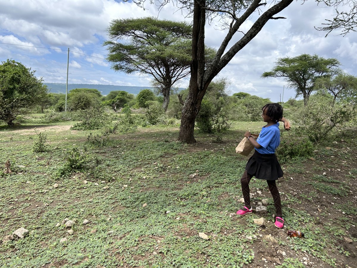 SeedBombsTZ's tweet photo. Throwing Seed Bombs is fun for all ages!

#seedbombs #jointhemovement #iplanted #tanzania #reforestation https://t.co/5Mlu7RTF9q