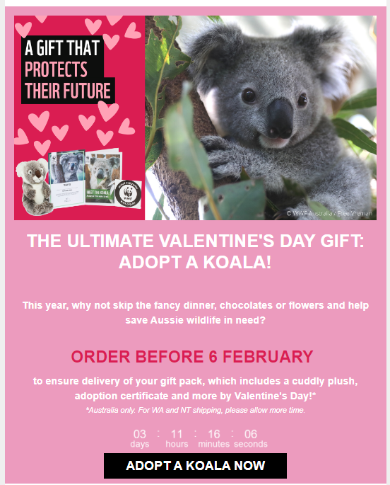 KHSRC1's tweet photo. #ValentinesDay is over but good to see our #flagshipβthe #Koala, is used to #rattle the tin to #raise #funds for #conservation. The #power of the Koala
π¨πΏβ€οΈ
#KoalaStuff #KoalaMerch #SaveOurKoalas #Fundraising #FridayFundraising #TGIF #FridayFun #Love #KoalaLove @WWF_Australia https://t.co/5Z0cQKMCgF