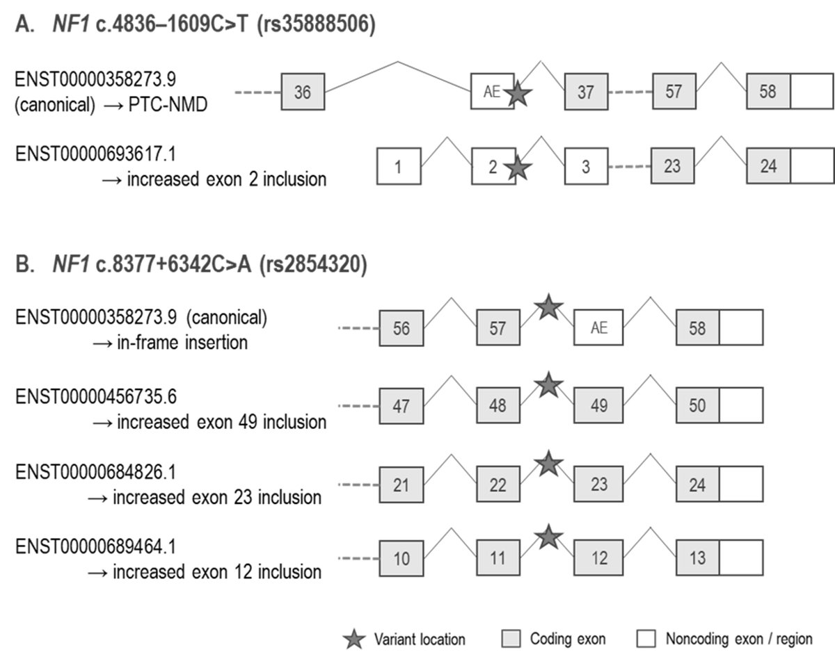 ASHG (@geneticssociety) on Twitter photo In a new <a href="/HGGAdvances/">Human Genetics and Genomics Advances</a> article, researchers developed a prioritization workflow & identified potentially causal endometrial cancer GWAS risk variants with plausible biological mechanisms.
Learn more: cell.com/hgg-advances/f… In a new <a href="/HGGAdvances/">Human Genetics and Genomics Advances</a> article, researchers developed a prioritization workflow & identified potentially causal endometrial cancer GWAS risk variants with plausible biological mechanisms.
Learn more: cell.com/hgg-advances/f…