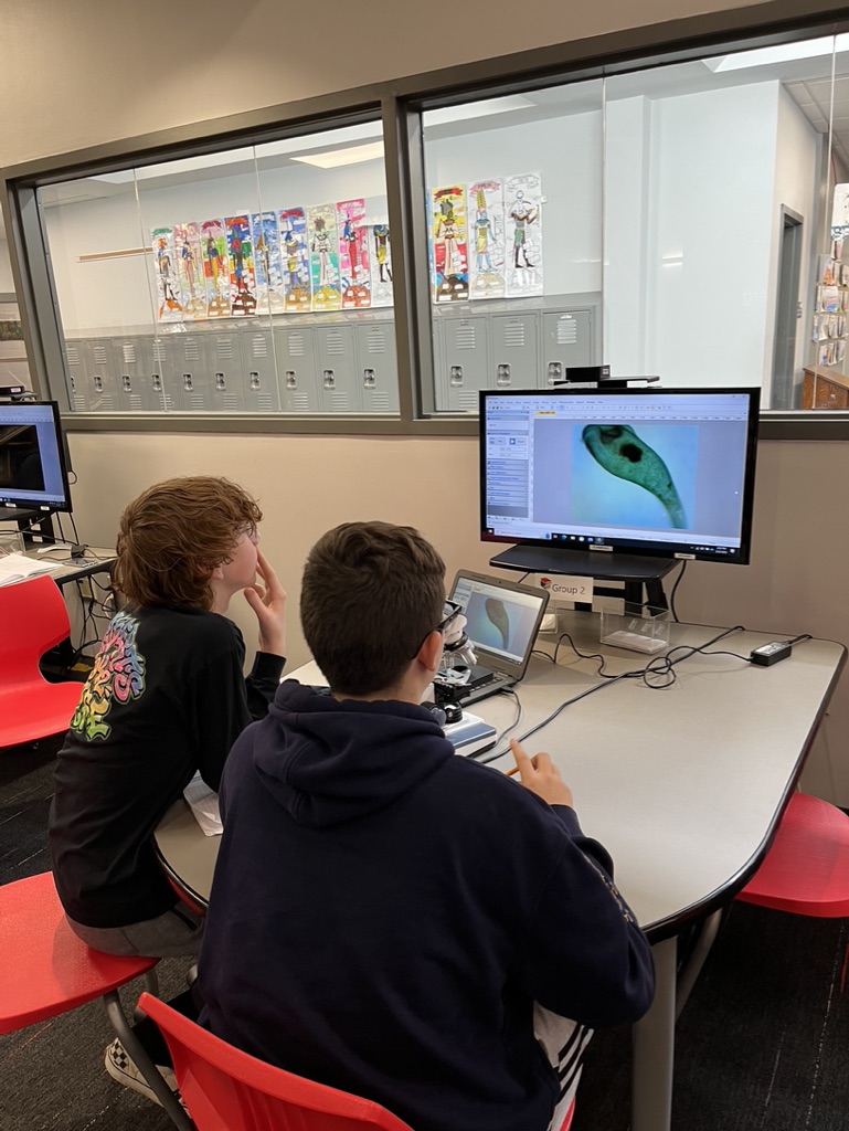 FJHLibrary's tweet photo. We're hunting for Protists in the library today! This is one of our favorite days because the students absolutely light up when they find these microscopic creatures. It's a good day to learn something new!
#fjhlibrary #scienceinthelibrary #Protistlab https://t.co/IZED1qf1gr