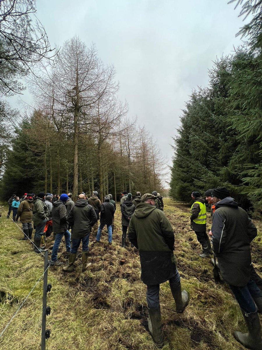 Thanks to everyone that came along to the SFco farm walk on our out wintering system.  We’ve always out wintered but using regenerative practices and a change of mindset has really pushed us forward. <a href="/DuncanTWilson/">Duncan Wilson</a>