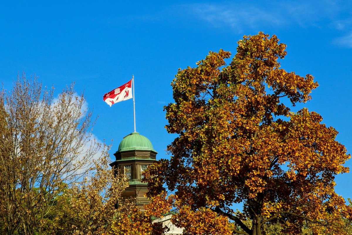 McGill Libraries (@mcgilllib) on Twitter photo 📚 <a href="/mcgillu/">McGill University</a> Library and <a href="/mcgillsis/">McGill SIS</a> are teaming up to provide a #fellowship program for Black students to complete the two-year MISt at #McGill. Apply by March 31. 
➡️ Full details + eligibility: mcgill.ca/x/3r8
<a href="/McGillARTS/">McGillARTS</a> <a href="/McGillGradStudy/">McGill Graduate & Postdoctoral Studies</a> #LibraryCareers 📚 <a href="/mcgillu/">McGill University</a> Library and <a href="/mcgillsis/">McGill SIS</a> are teaming up to provide a #fellowship program for Black students to complete the two-year MISt at #McGill. Apply by March 31. 
➡️ Full details + eligibility: mcgill.ca/x/3r8
<a href="/McGillARTS/">McGillARTS</a> <a href="/McGillGradStudy/">McGill Graduate & Postdoctoral Studies</a> #LibraryCareers