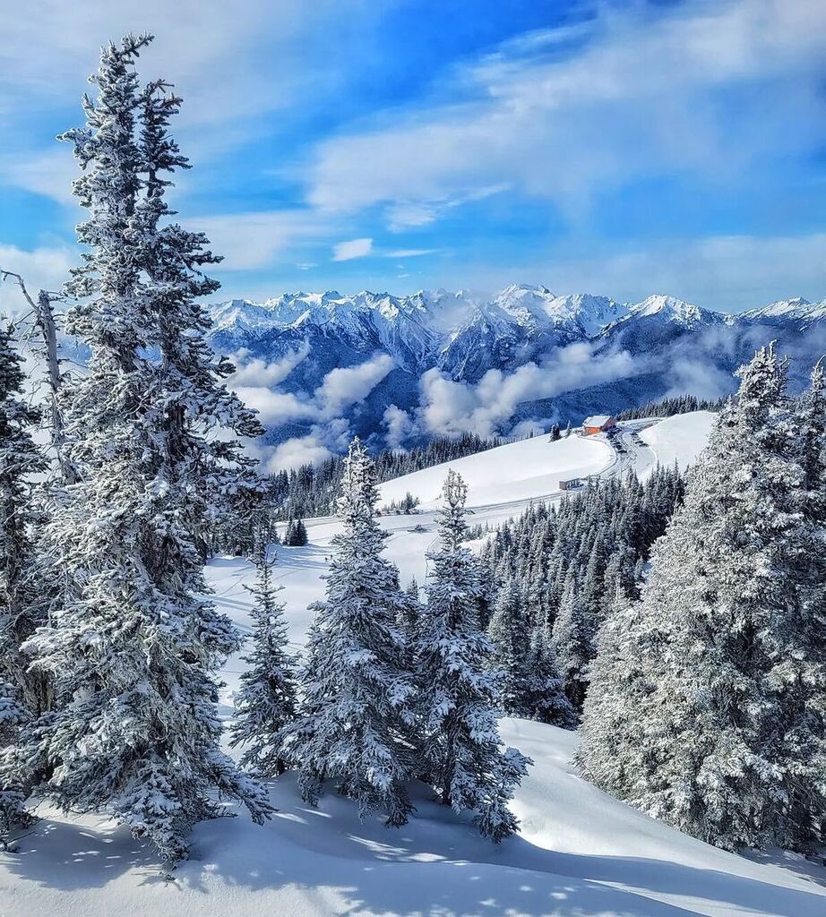 Lots of snow around these parts lately! ❄️

Come adventure with us! #VisitPortAngeles

📸 by @skandog ✌️

#HurricaneRidge #OlympicNationalPark instagr.am/p/CpBHuAJvQRG/
