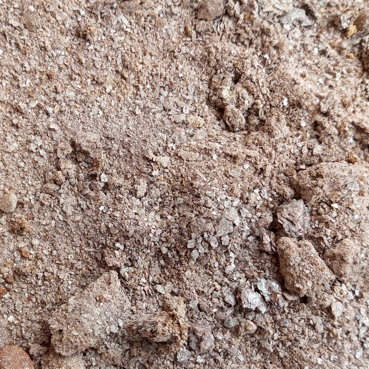 DeborahTusingw4's tweet photo. Five (5) Factors affecting Chernozem soils.
Climate, Vegetation, Natural disaster, Human activities and Land use practices
ORESOIL 0770836731
#oresoil #geology #geotechnical #chernozem #soil #climate #naturaldisaster #landuse #agriculture #humanactivities #construction #mining https://t.co/aS1DFKpK9f