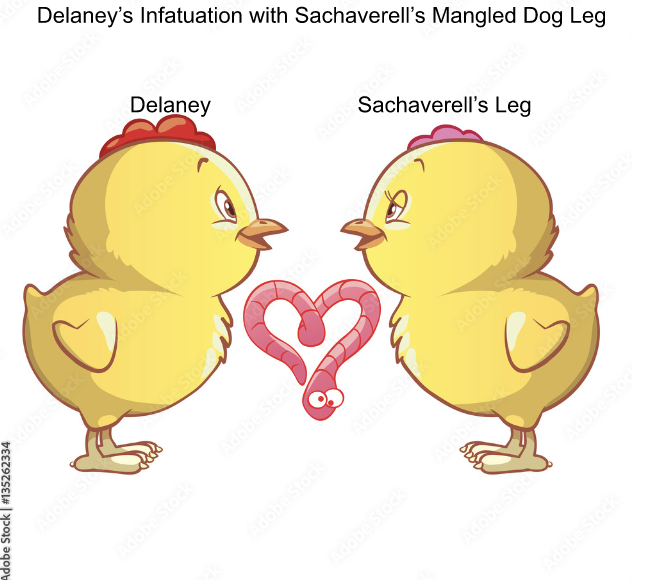 twinklefairy01's tweet photo. @tcboyle @dramyparish
#mangleddogleginfatuation https://t.co/ZmbJxuFY5D