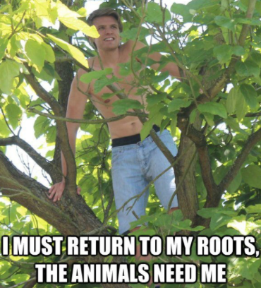 cl24058's tweet photo. When picturing Delaney, a granola tree-hugger definitely comes to mind. There is absolutely nothing wrong with that, as I too love granola and hugging trees. Below is an image I feel best personifies him. Let me know what you think. @tcboyle #treehugger https://t.co/TSYQnYqKrn