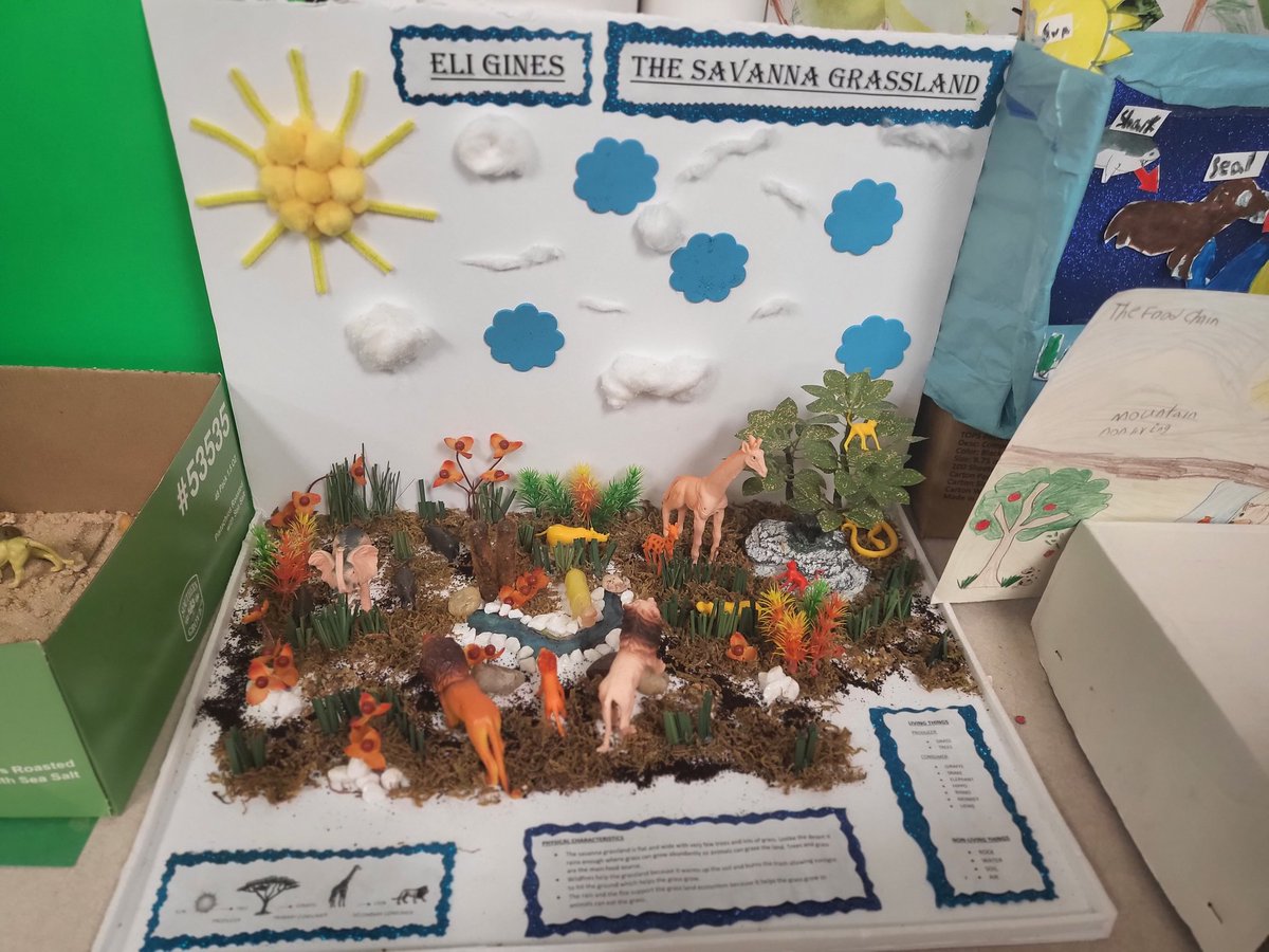 LaLlking's tweet photo. 3rd graders @JonesES_AISD in @itsMsGuerra classroom learned about 7 different ecosystems.  Students created a project on their favorite ecosystem that they learned about.@dr_dharvey @BakerDana2424 @SandraDoria11 #AldineConnected https://t.co/VbhuvlkQQC