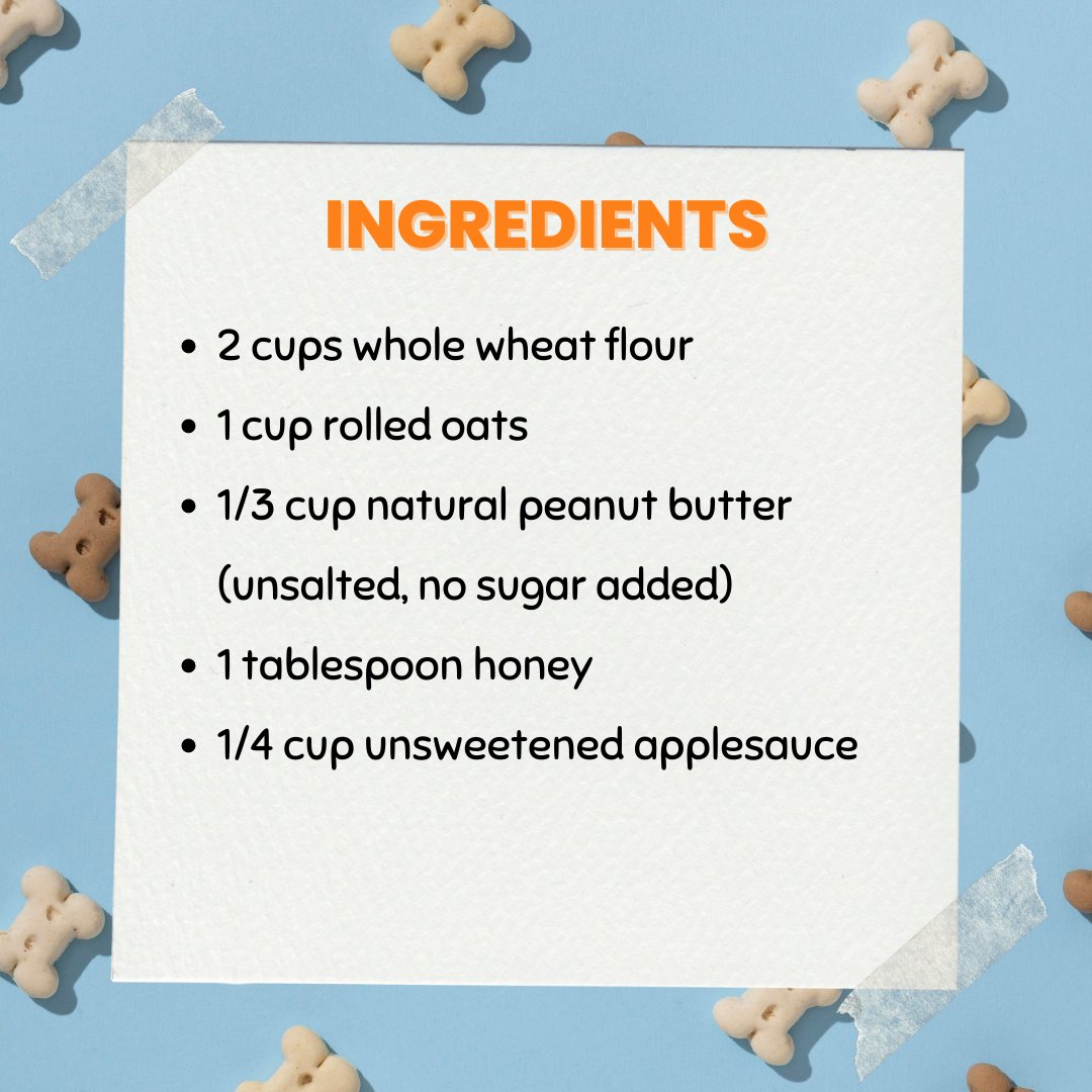 PetHealthExpo's tweet photo. It's #NationalDogBiscuit day! In honor of that, here is a simple and healthy recipe for homemade dog biscuits! #PetHealthExpo #dogtreats #dogrecipe https://t.co/8NNoA19UzS