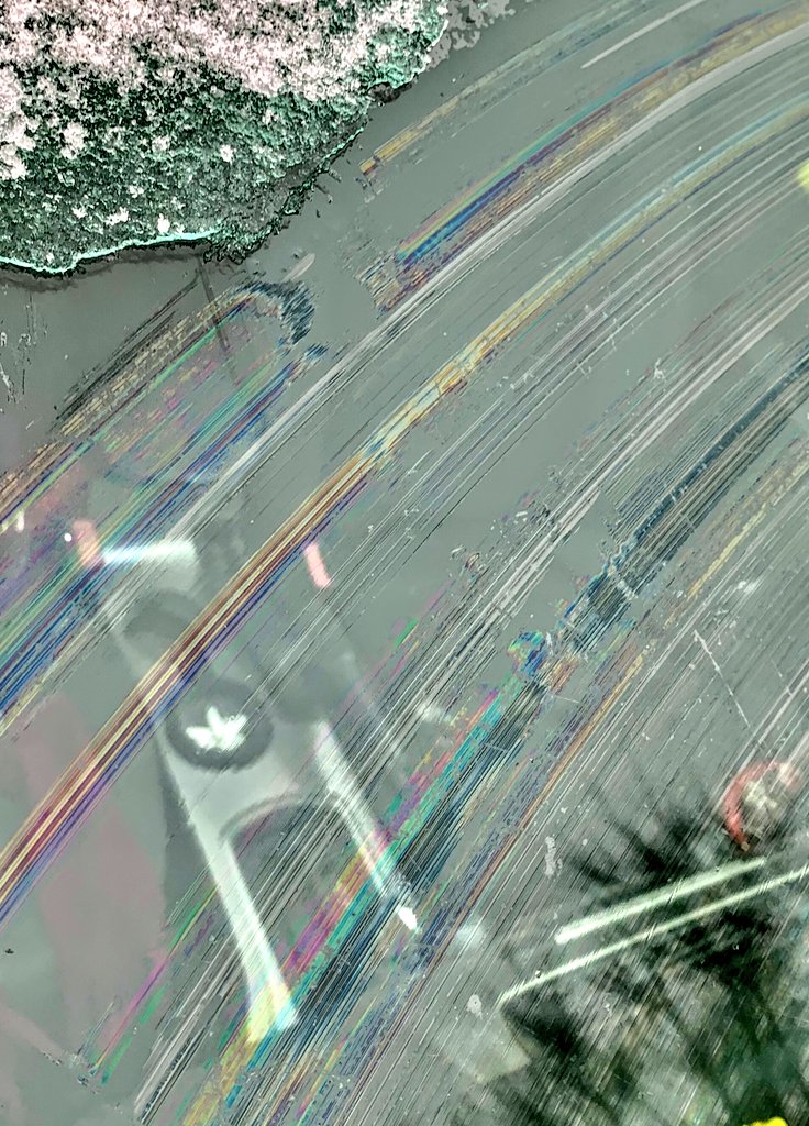 birdbath's tweet photo. ppl in replies are coping with "durr thats from car oil leaking on the roads"  This was what my windshield looked like today https://t.co/jr5ZaWxiyv