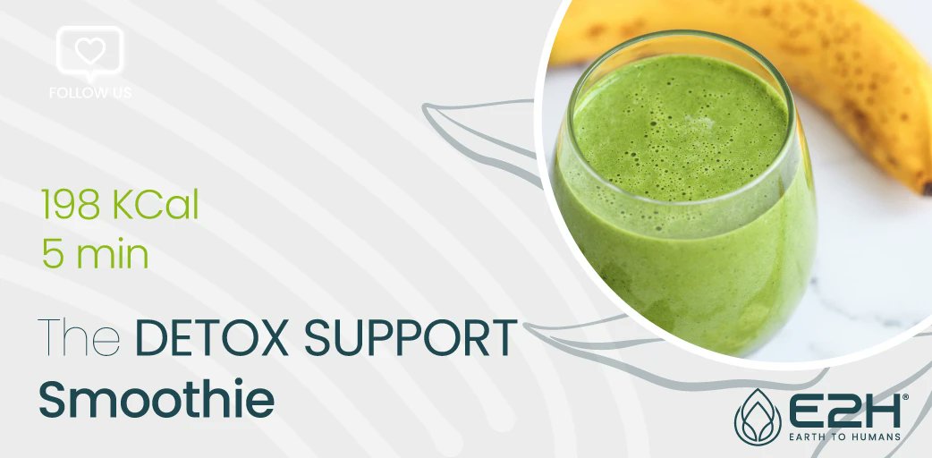 E2H_Social's tweet photo. Start your day off right with this delicious detox smoothie. Packed with healthy, all-natural ingredients, it's the perfect way to jumpstart your metabolism and start your day on the right foot. Add a serving of our Liver Support supplement to give your liver some extra love. https://t.co/QkdoLmV2dw